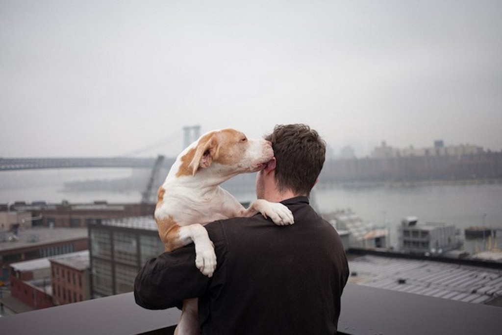Пес любовный аромат. Собачья любовь. Трогательные фотографии. Парень с собакой трогательно. Трогательные фото животных.