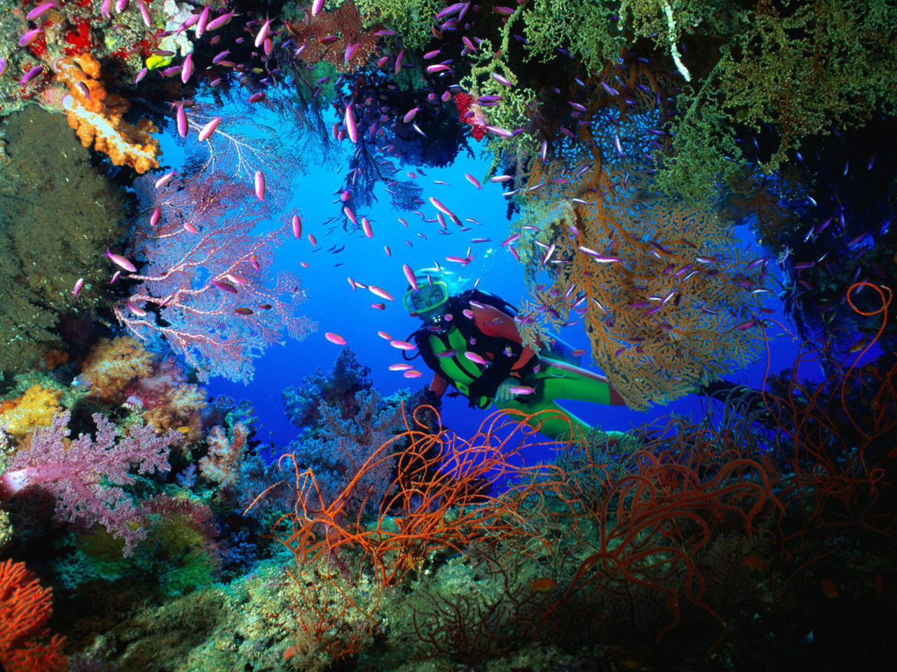 мальта подводный мир