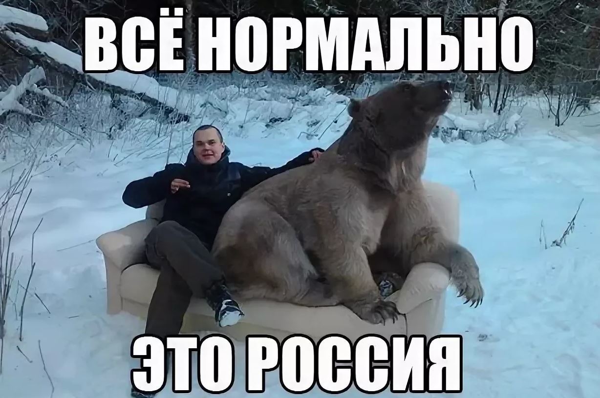 Слезай пока. Приколы картинки с надписями. Мемы про Россию. Медведь Мем. Приколы картинки ржачные.