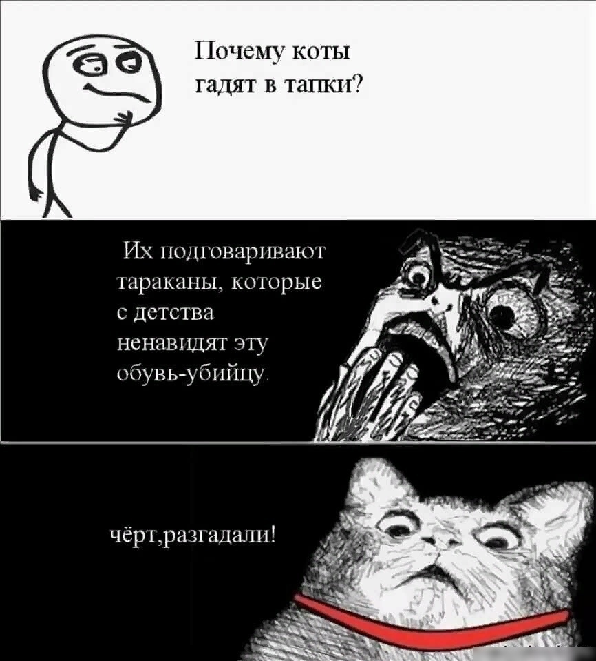 Мем про котов
