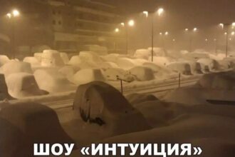 Фото приколы про снег в Москве